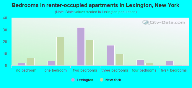 Bedrooms in renter-occupied apartments in Lexington, New York