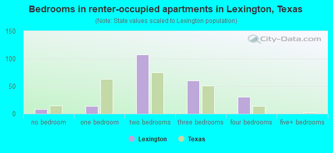 Bedrooms in renter-occupied apartments in Lexington, Texas