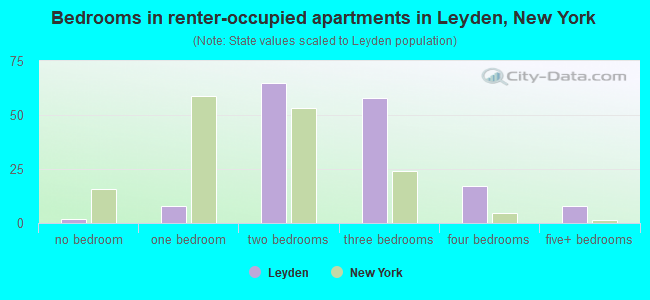 Bedrooms in renter-occupied apartments in Leyden, New York