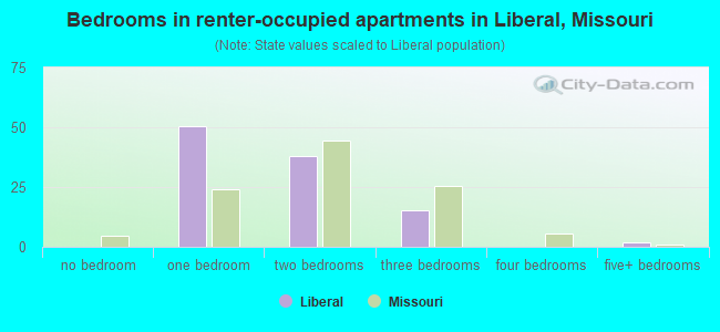 Bedrooms in renter-occupied apartments in Liberal, Missouri