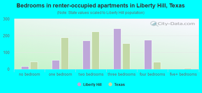 Bedrooms in renter-occupied apartments in Liberty Hill, Texas