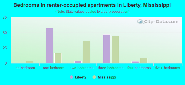 Bedrooms in renter-occupied apartments in Liberty, Mississippi