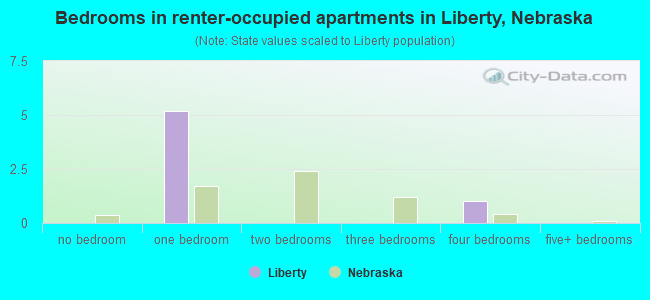 Bedrooms in renter-occupied apartments in Liberty, Nebraska