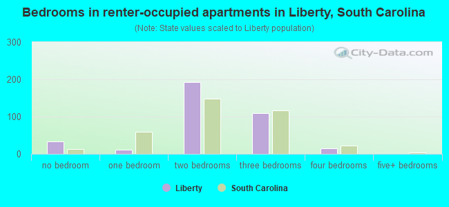 Bedrooms in renter-occupied apartments in Liberty, South Carolina