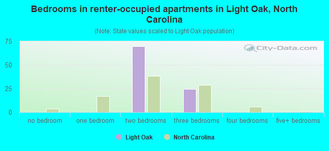 Bedrooms in renter-occupied apartments in Light Oak, North Carolina