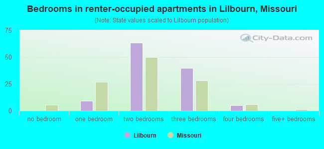 Bedrooms in renter-occupied apartments in Lilbourn, Missouri
