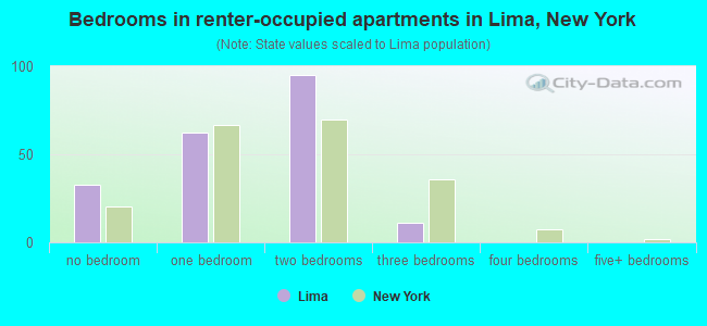 Bedrooms in renter-occupied apartments in Lima, New York