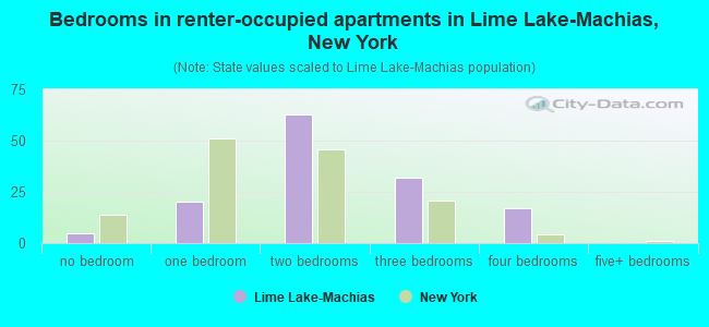 Bedrooms in renter-occupied apartments in Lime Lake-Machias, New York