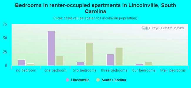 Bedrooms in renter-occupied apartments in Lincolnville, South Carolina