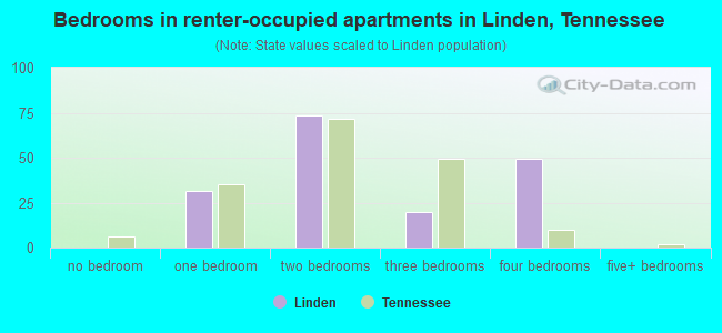 Bedrooms in renter-occupied apartments in Linden, Tennessee