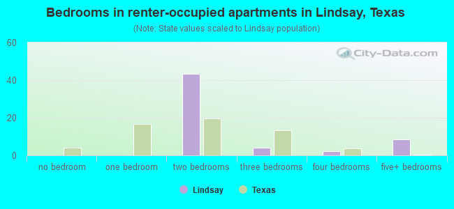 Bedrooms in renter-occupied apartments in Lindsay, Texas