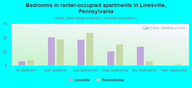 Bedrooms in renter-occupied apartments in Linesville, Pennsylvania
