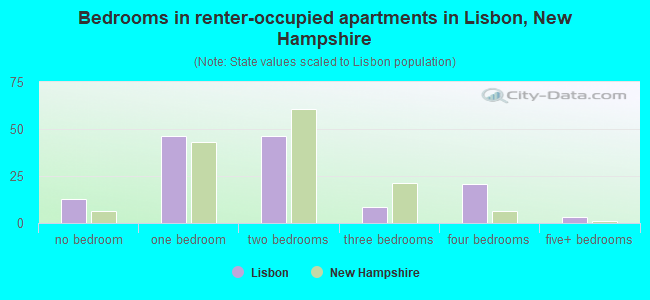 Bedrooms in renter-occupied apartments in Lisbon, New Hampshire