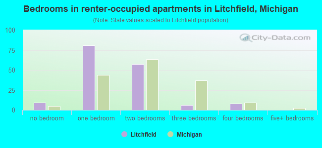 Bedrooms in renter-occupied apartments in Litchfield, Michigan