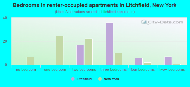 Bedrooms in renter-occupied apartments in Litchfield, New York