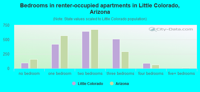Bedrooms in renter-occupied apartments in Little Colorado, Arizona
