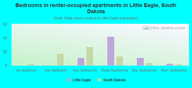 Bedrooms in renter-occupied apartments in Little Eagle, South Dakota