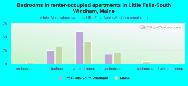 Bedrooms in renter-occupied apartments in Little Falls-South Windham, Maine