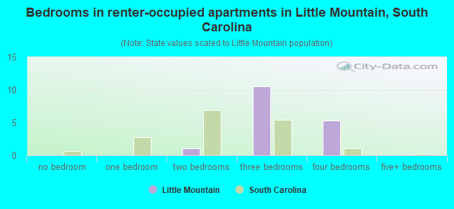 Bedrooms in renter-occupied apartments in Little Mountain, South Carolina