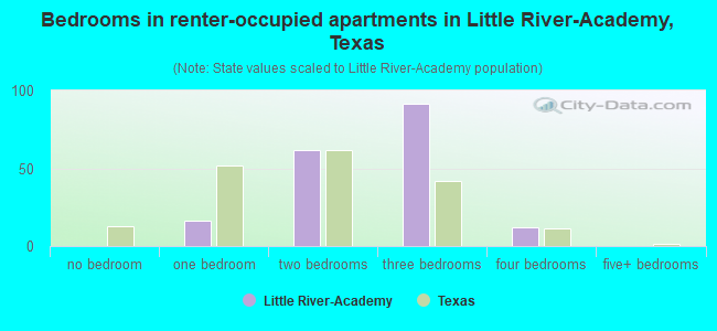 Bedrooms in renter-occupied apartments in Little River-Academy, Texas