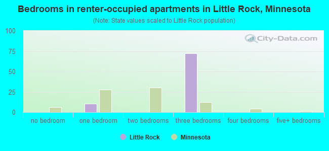 Bedrooms in renter-occupied apartments in Little Rock, Minnesota