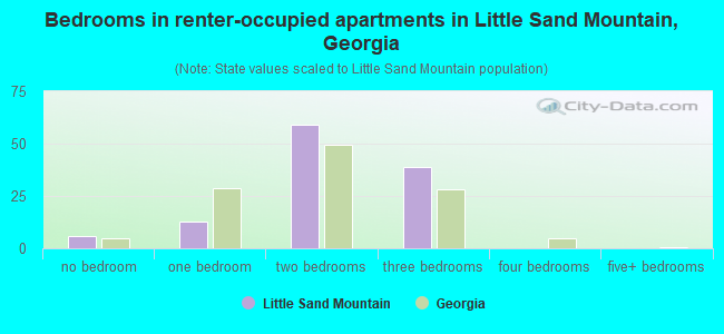 Bedrooms in renter-occupied apartments in Little Sand Mountain, Georgia