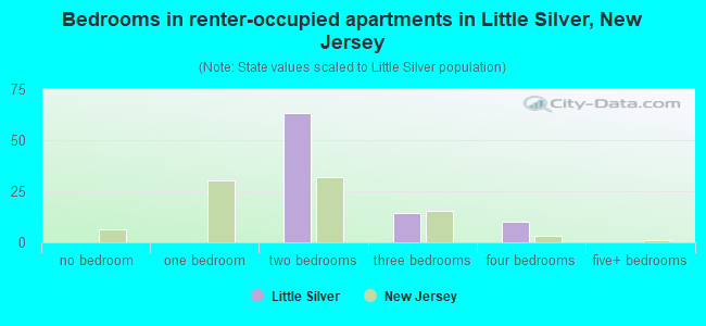 Bedrooms in renter-occupied apartments in Little Silver, New Jersey