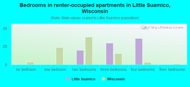 Bedrooms in renter-occupied apartments in Little Suamico, Wisconsin