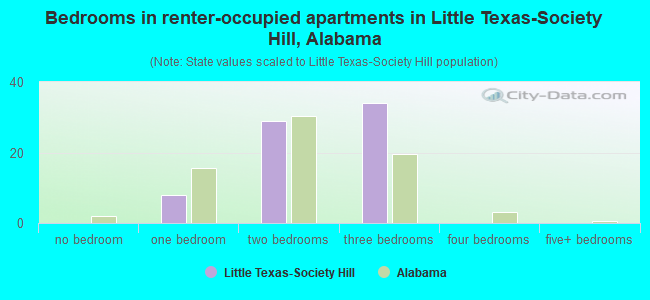 Bedrooms in renter-occupied apartments in Little Texas-Society Hill, Alabama