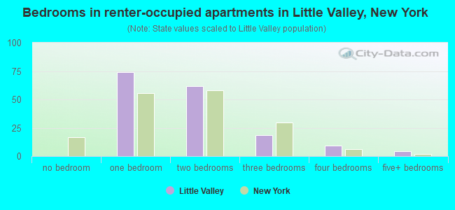 Bedrooms in renter-occupied apartments in Little Valley, New York