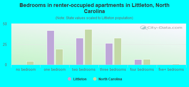 Bedrooms in renter-occupied apartments in Littleton, North Carolina