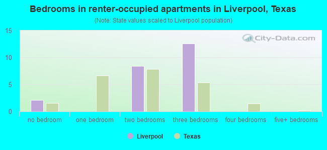 Bedrooms in renter-occupied apartments in Liverpool, Texas