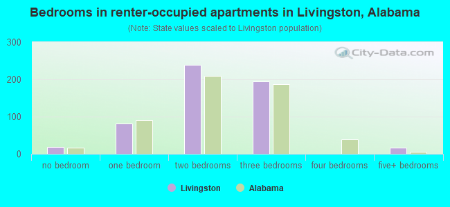 Bedrooms in renter-occupied apartments in Livingston, Alabama