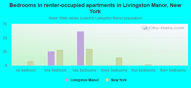 Bedrooms in renter-occupied apartments in Livingston Manor, New York