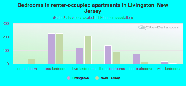 Bedrooms in renter-occupied apartments in Livingston, New Jersey
