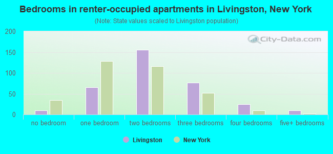 Bedrooms in renter-occupied apartments in Livingston, New York