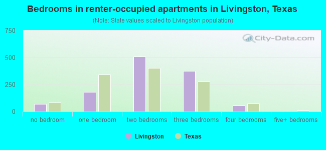 Bedrooms in renter-occupied apartments in Livingston, Texas