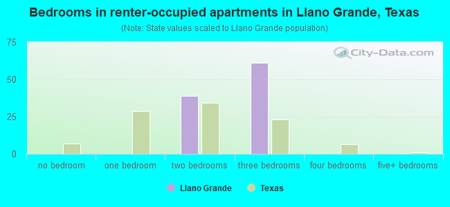 Bedrooms in renter-occupied apartments in Llano Grande, Texas