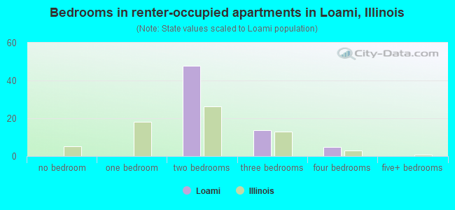 Bedrooms in renter-occupied apartments in Loami, Illinois