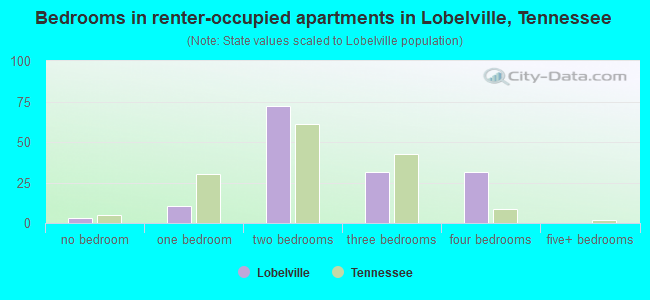 Bedrooms in renter-occupied apartments in Lobelville, Tennessee