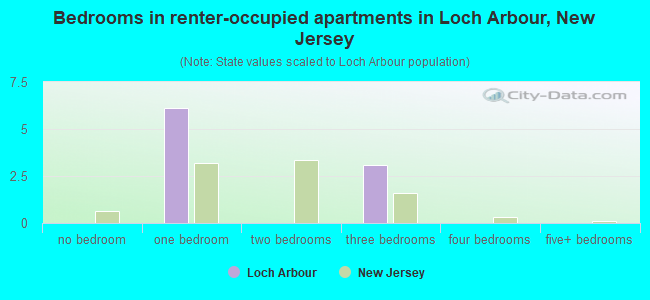 Bedrooms in renter-occupied apartments in Loch Arbour, New Jersey