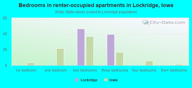 Bedrooms in renter-occupied apartments in Lockridge, Iowa