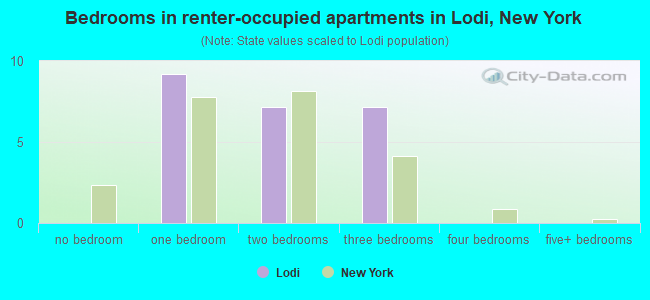 Bedrooms in renter-occupied apartments in Lodi, New York