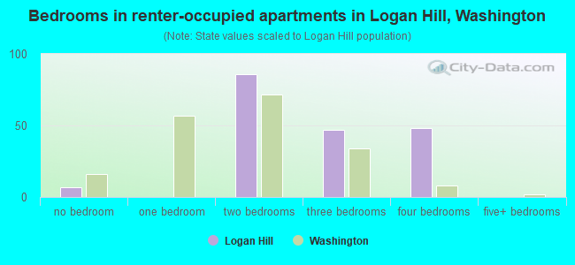 Bedrooms in renter-occupied apartments in Logan Hill, Washington