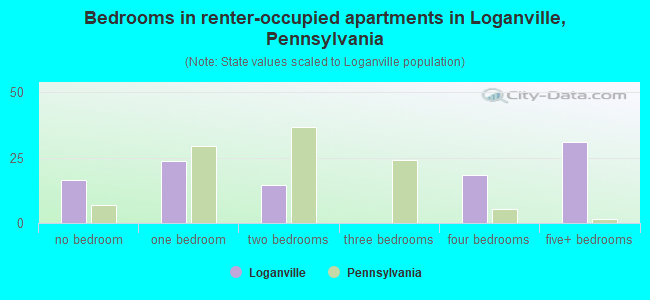Bedrooms in renter-occupied apartments in Loganville, Pennsylvania
