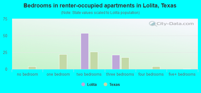 Bedrooms in renter-occupied apartments in Lolita, Texas