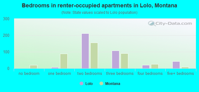 Bedrooms in renter-occupied apartments in Lolo, Montana