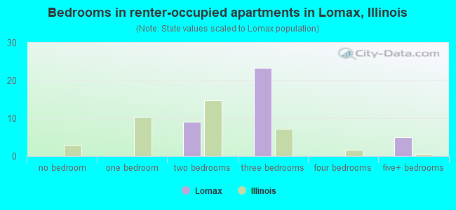 Bedrooms in renter-occupied apartments in Lomax, Illinois