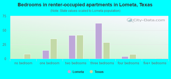 Bedrooms in renter-occupied apartments in Lometa, Texas