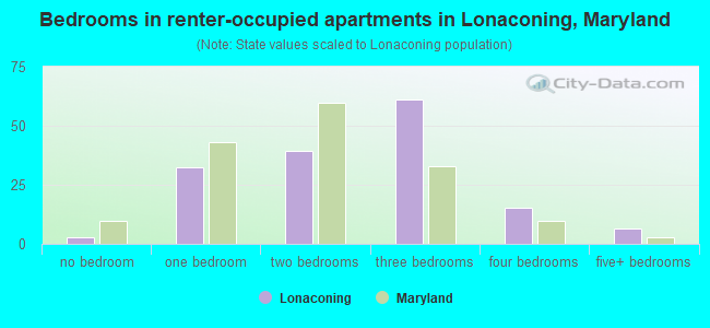Bedrooms in renter-occupied apartments in Lonaconing, Maryland